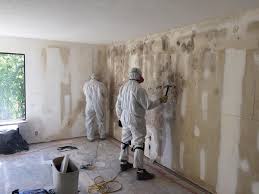 Why You Should Choose Our Mold Remediation Services in Oakwood, IL